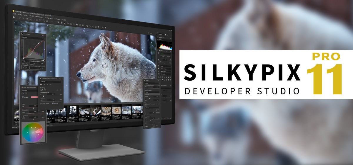 SILKYPIX DS Pro11 RAW Photo Software for macOS and Windows