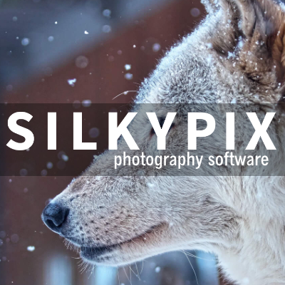 Go to SILKYPIX Store