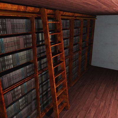 The Wingate Library Basement